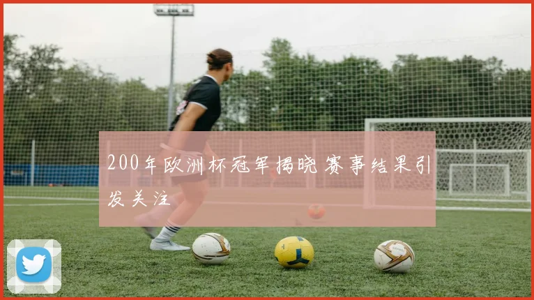 200年欧洲杯冠军揭晓 赛事结果引发关注