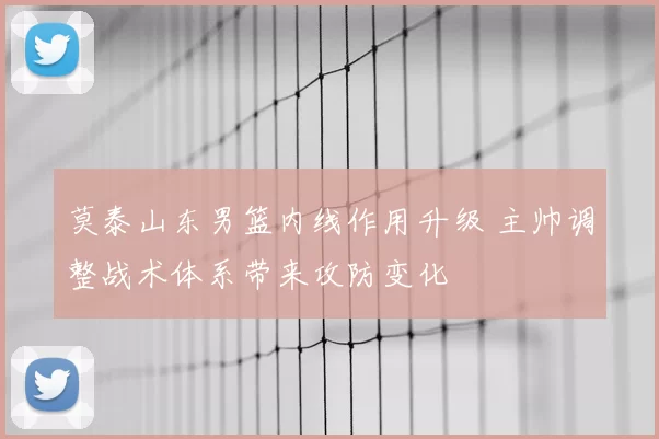 莫泰山东男篮内线作用升级 主帅调整战术体系带来攻防变化
