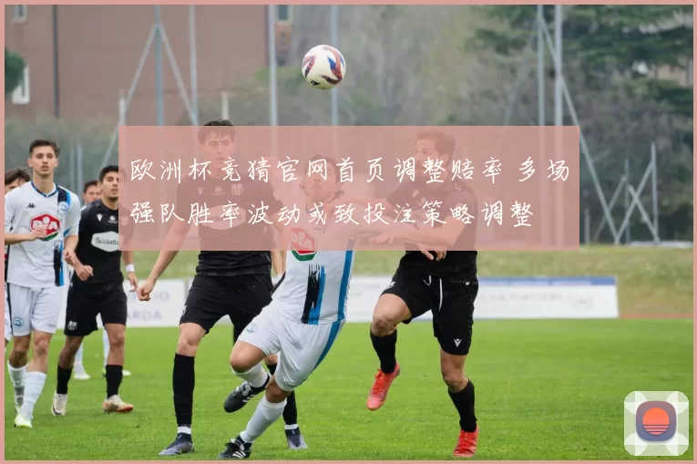 欧洲杯竞猜官网首页调整赔率 多场强队胜率波动或致投注策略调整