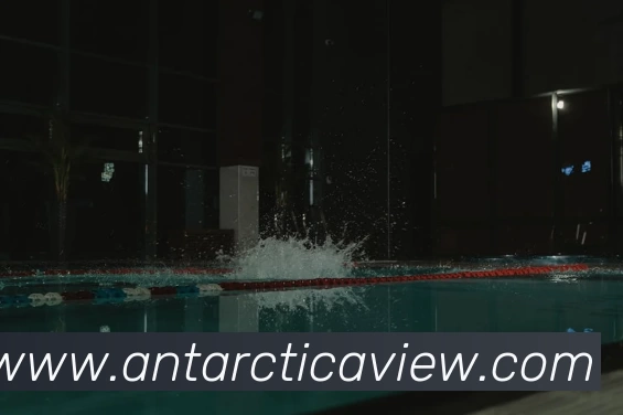 多媒体互动体验